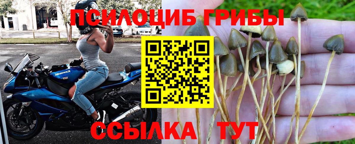 Псилоцибиновые грибы мухоморы Зеленогорск