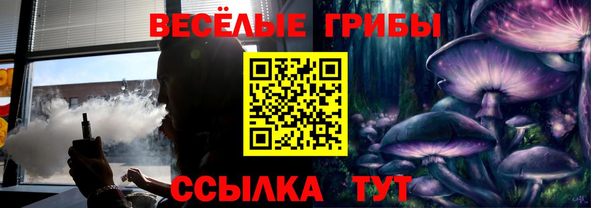 Зеленогорск  как найти закладки  Вход с VPN  Псилоцибиновые грибы прущие грибы 